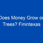 does money grow on trees finintexas 4215 jpg